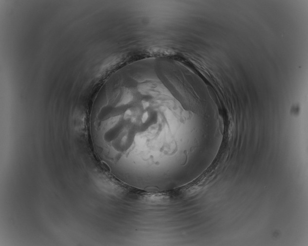 X0000091580619200708201209