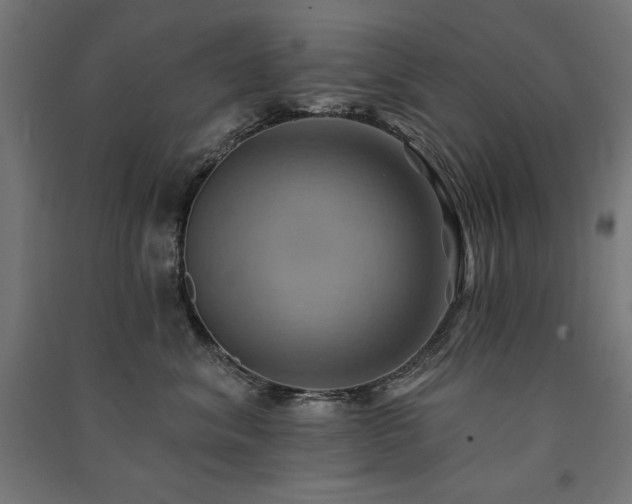 X0000091580620200708201209