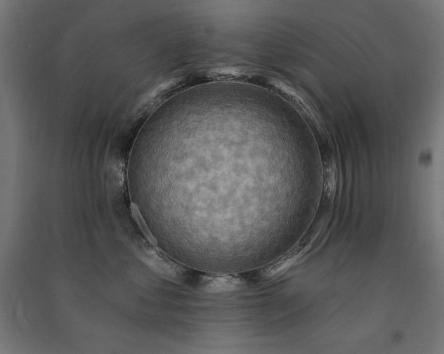 X0000091580621200708201209