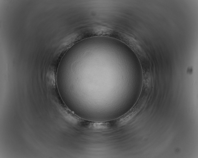 X0000091580622200708201209