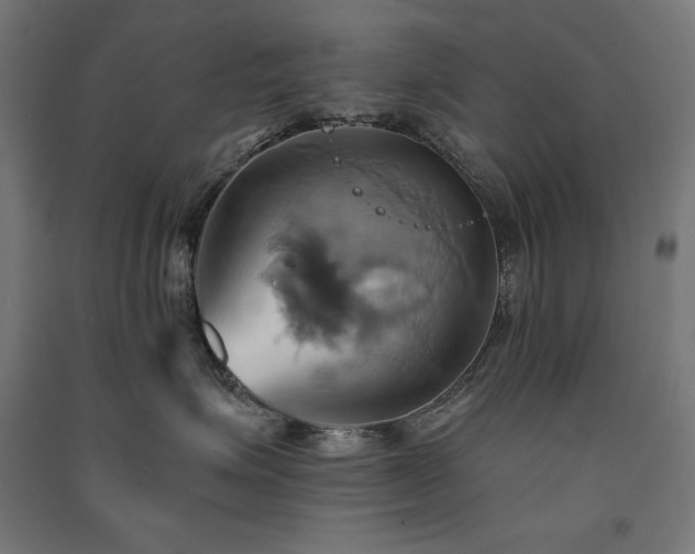 X0000091580623200708201209