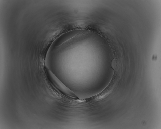 X0000091580624200708201209