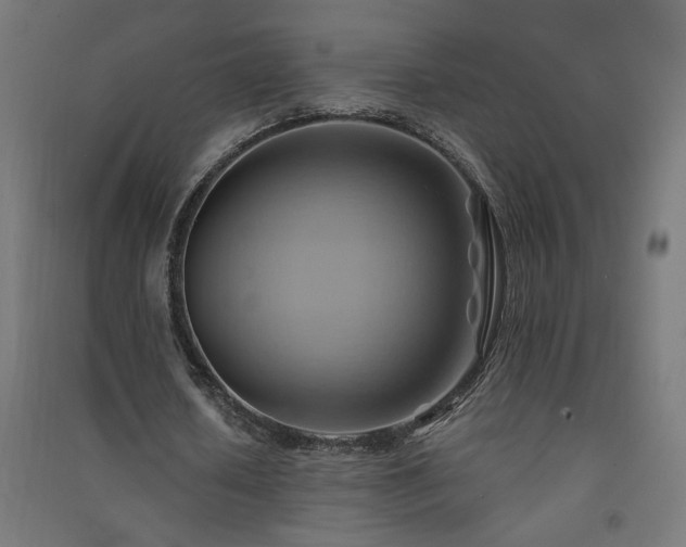 X0000091580626200708201208