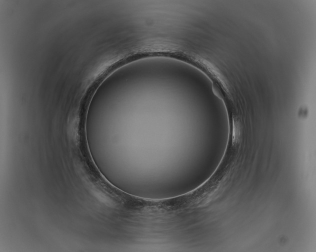 X0000091580627200708201208