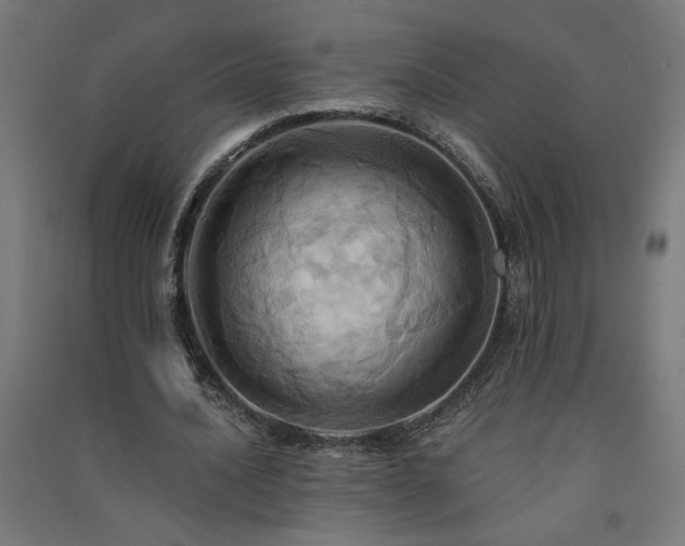 X0000091580628200708201208