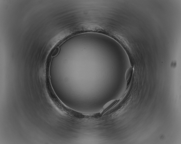 X0000091580630200708201208