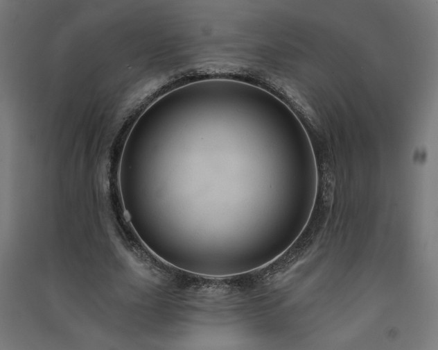 X0000091580631200708201208