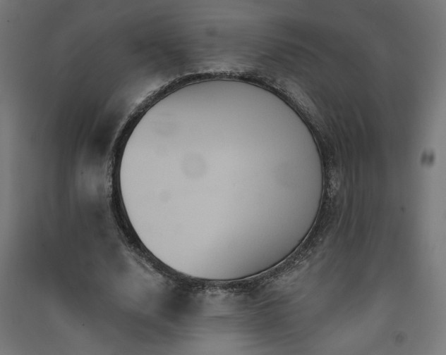 X0000091580632200708201208