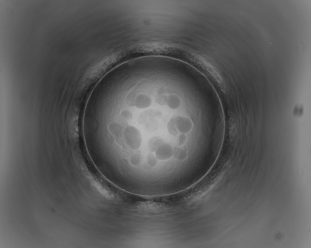 X0000091580633200708201208