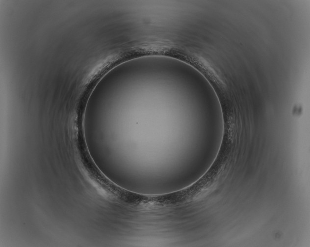 X0000091580634200708201208