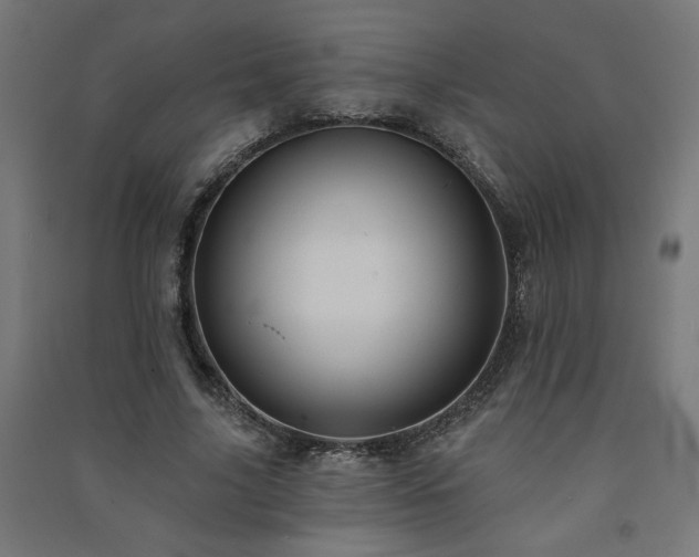 X0000091580635200708201208