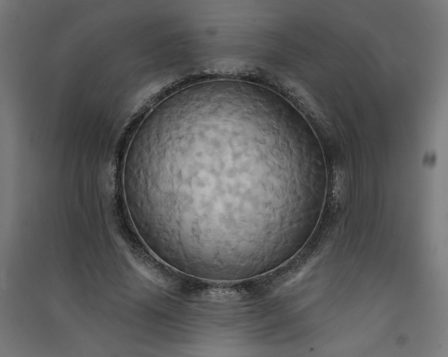X0000091580636200708201208