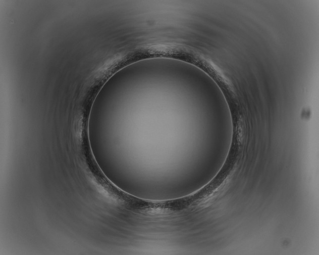 X0000091580637200708201208