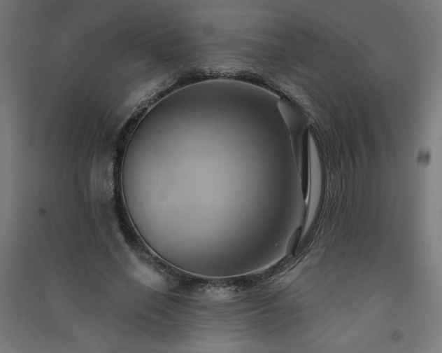 X0000091580638200708201208