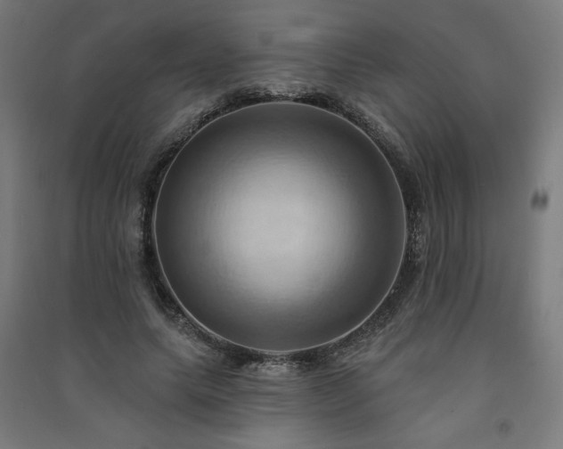 X0000091580639200708201208