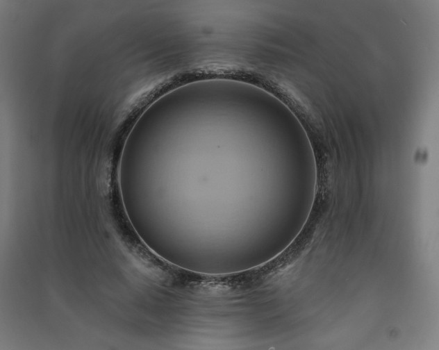 X0000091580640200708201208