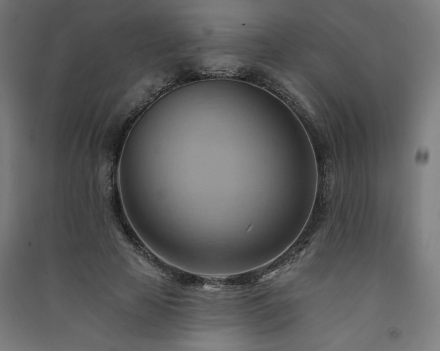 X0000091580641200708201208