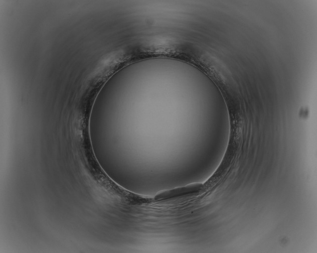 X0000091580643200708201208
