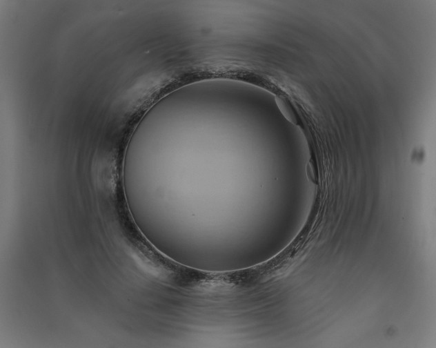 X0000091580644200708201208