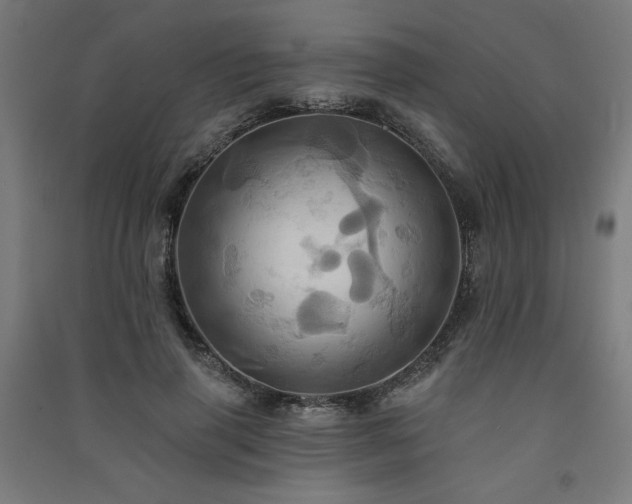 X0000091580645200708201208