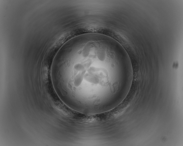 X0000091580646200708201208