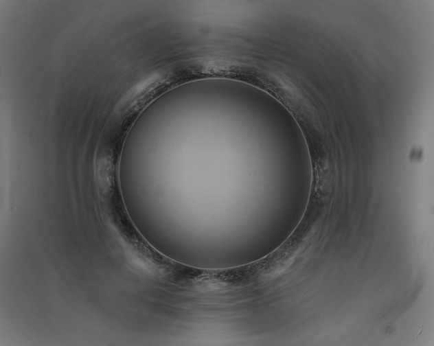 X0000091580648200708201208