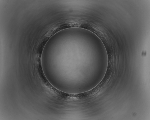 X0000091580649200708201208