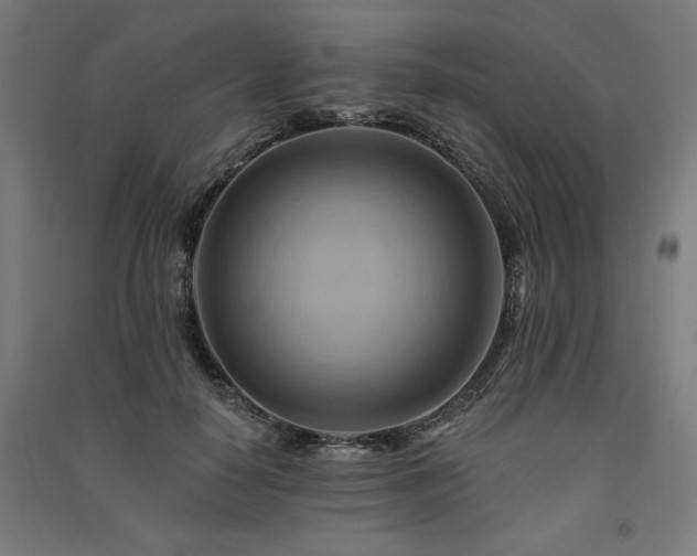 X0000091580650200708201208