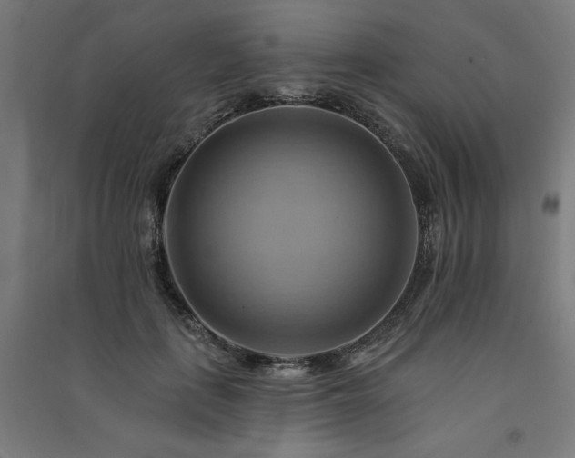 X0000091580651200708201208