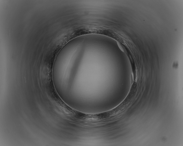 X0000091580653200708201208