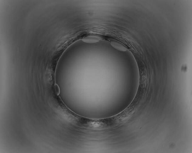 X0000091580654200708201208