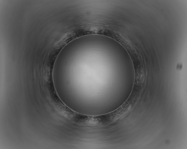 X0000091580656200708201209