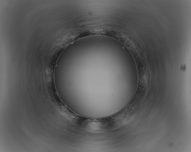 X0000091580658200708201209