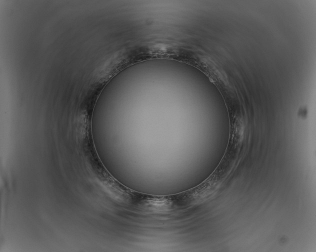 X0000091580659200708201209