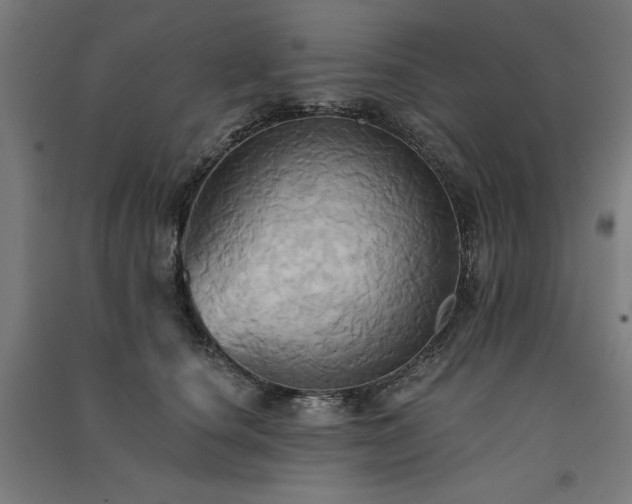 X0000091580660200708201209