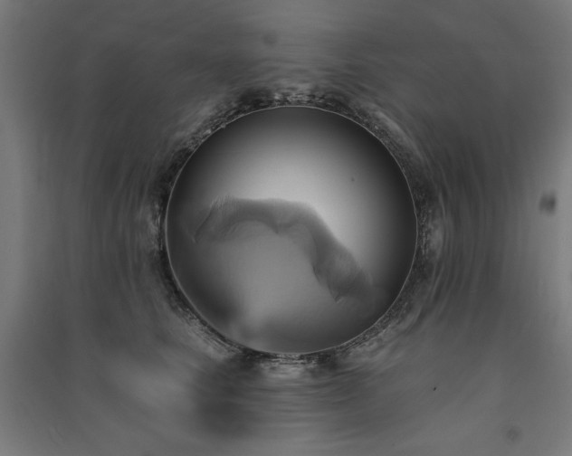 X0000091580661200708201209