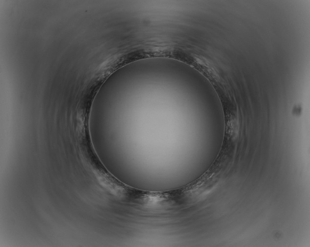 X0000091580662200708201209