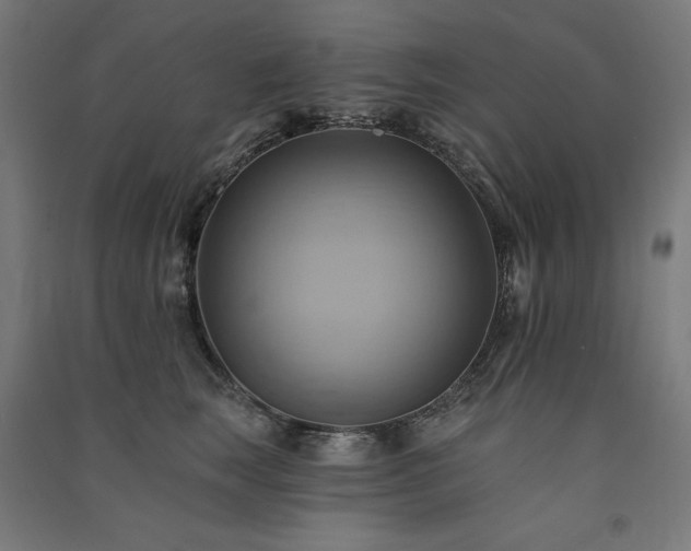 X0000091580663200708201209