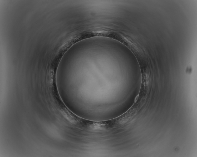X0000091580664200708201209