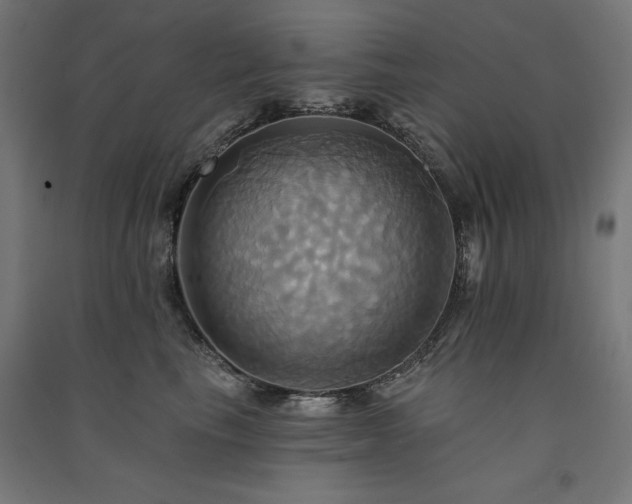 X0000091580665200708201209