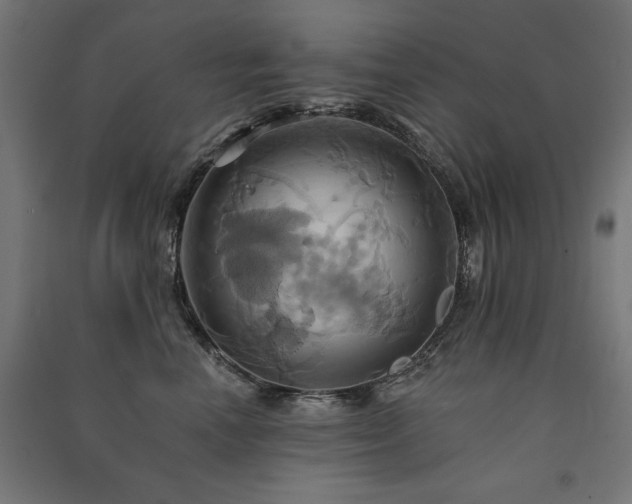 X0000091580666200708201209