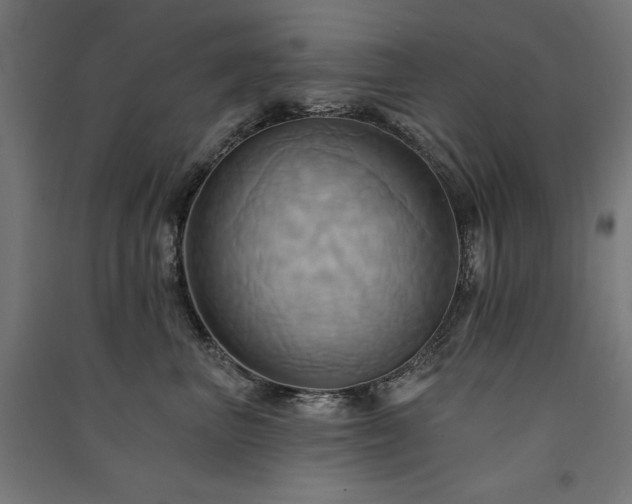 X0000091580667200708201209