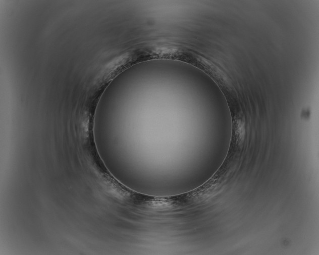 X0000091580668200708201209