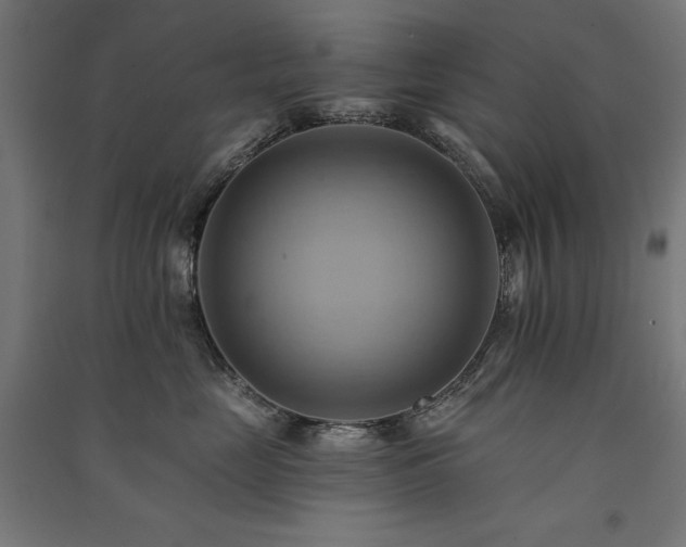 X0000091580669200708201209