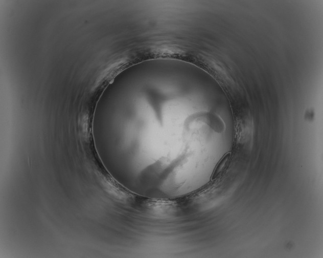 X0000091580670200708201209