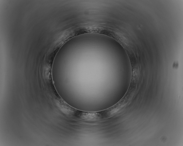 X0000091580671200708201209