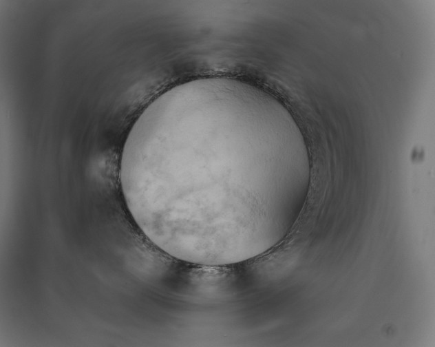 X0000091580672200708201209
