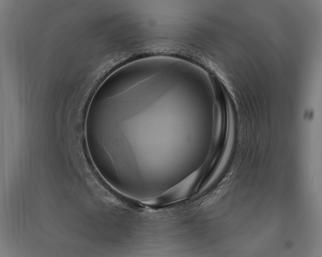 X0000091580673200708201208
