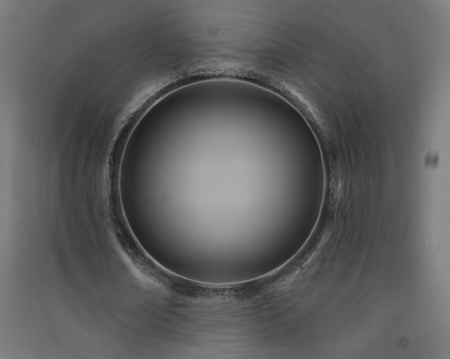 X0000091580674200708201208