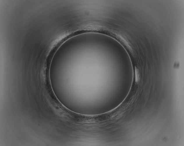 X0000091580675200708201208